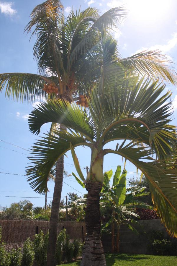 Jolie Case Creole, Lagon A Pied, Jardin 圣吉尔莱班 外观 照片